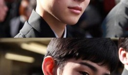 日本王子最新爆料,王室内部惊人真相与家族秘闻大曝光！”